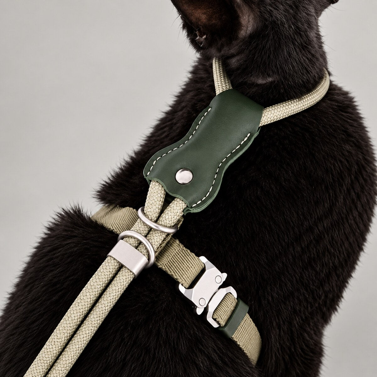 The Arden Adjustable Cat Harness & Leash Set