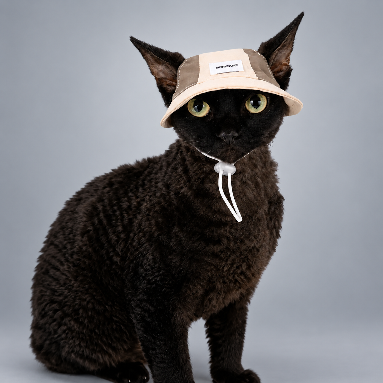 Atelier Shade Lightweight Cat Cap & Rope Harness Set