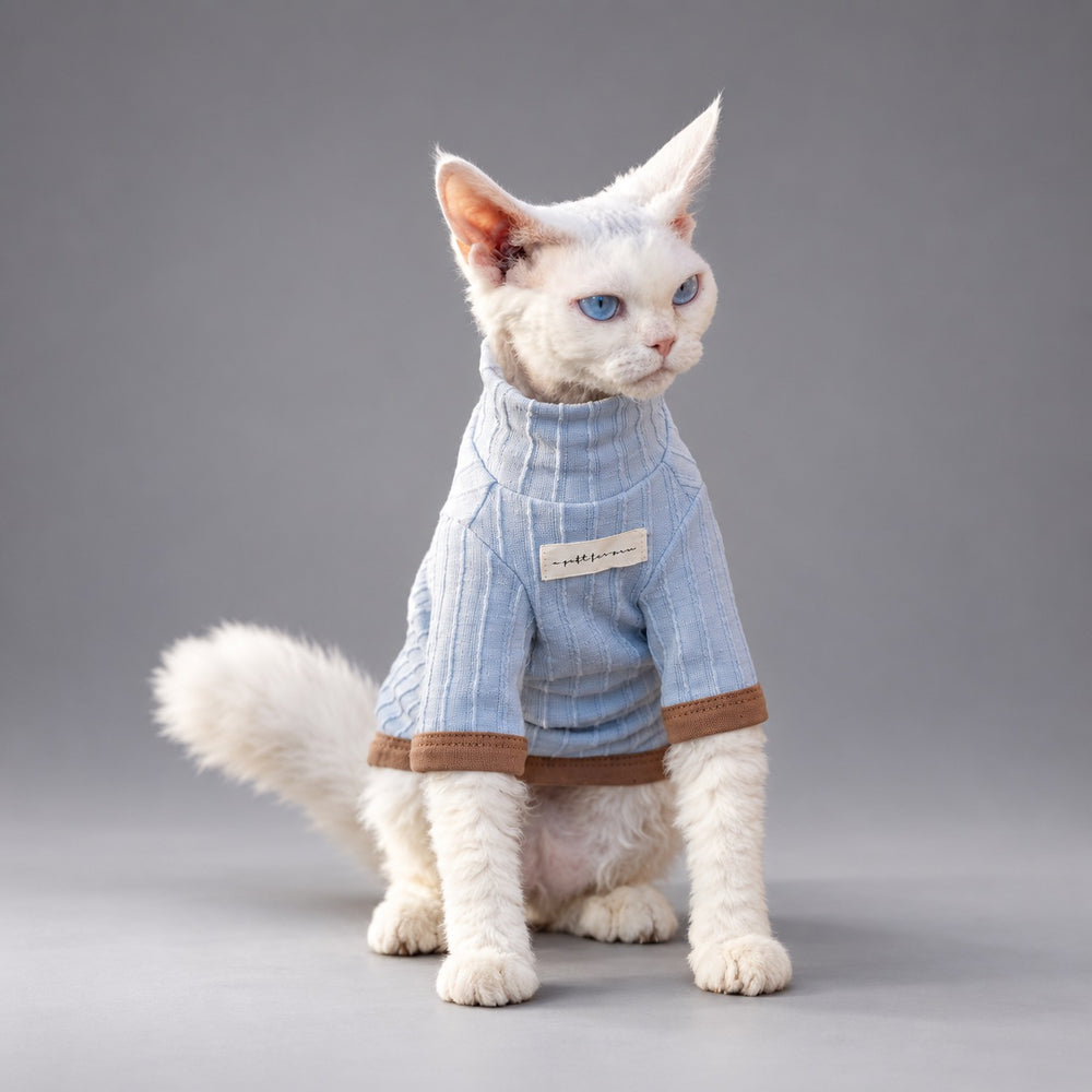Cat wearing the Nordic Blue Mist & Brown T-shirt, seated facing the camera.