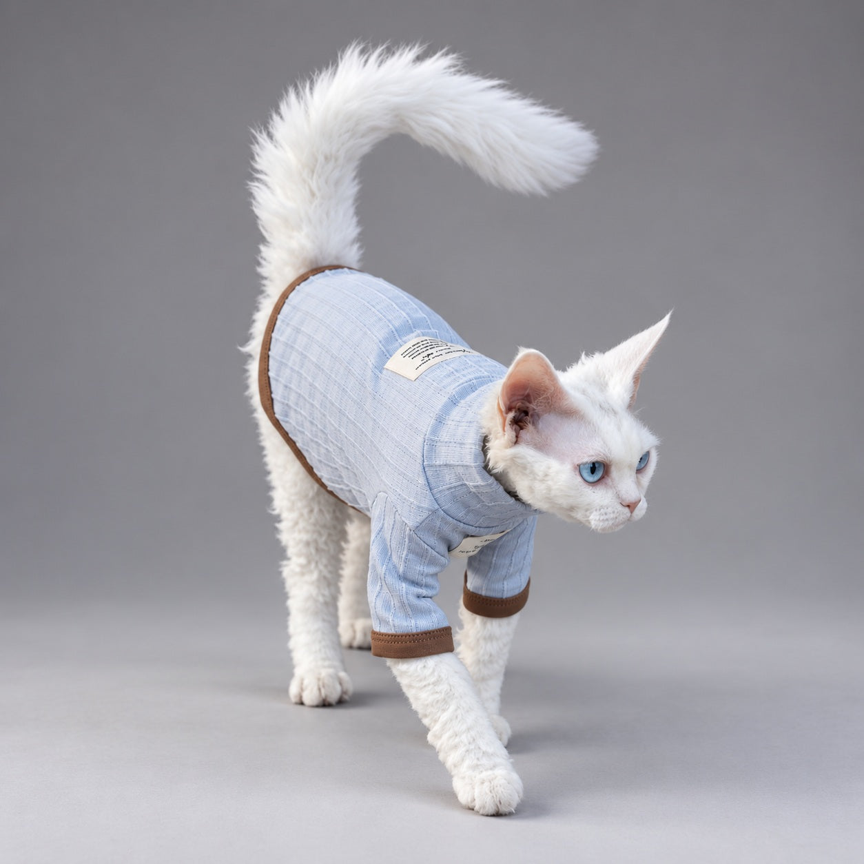 Cat walking toward the camera in the Mist & Brown textured T-shirt.