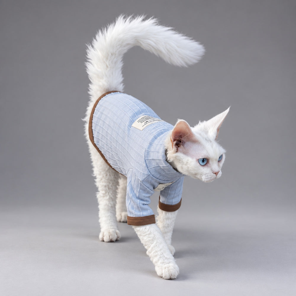 Cat walking toward the camera in the Mist & Brown textured T-shirt.