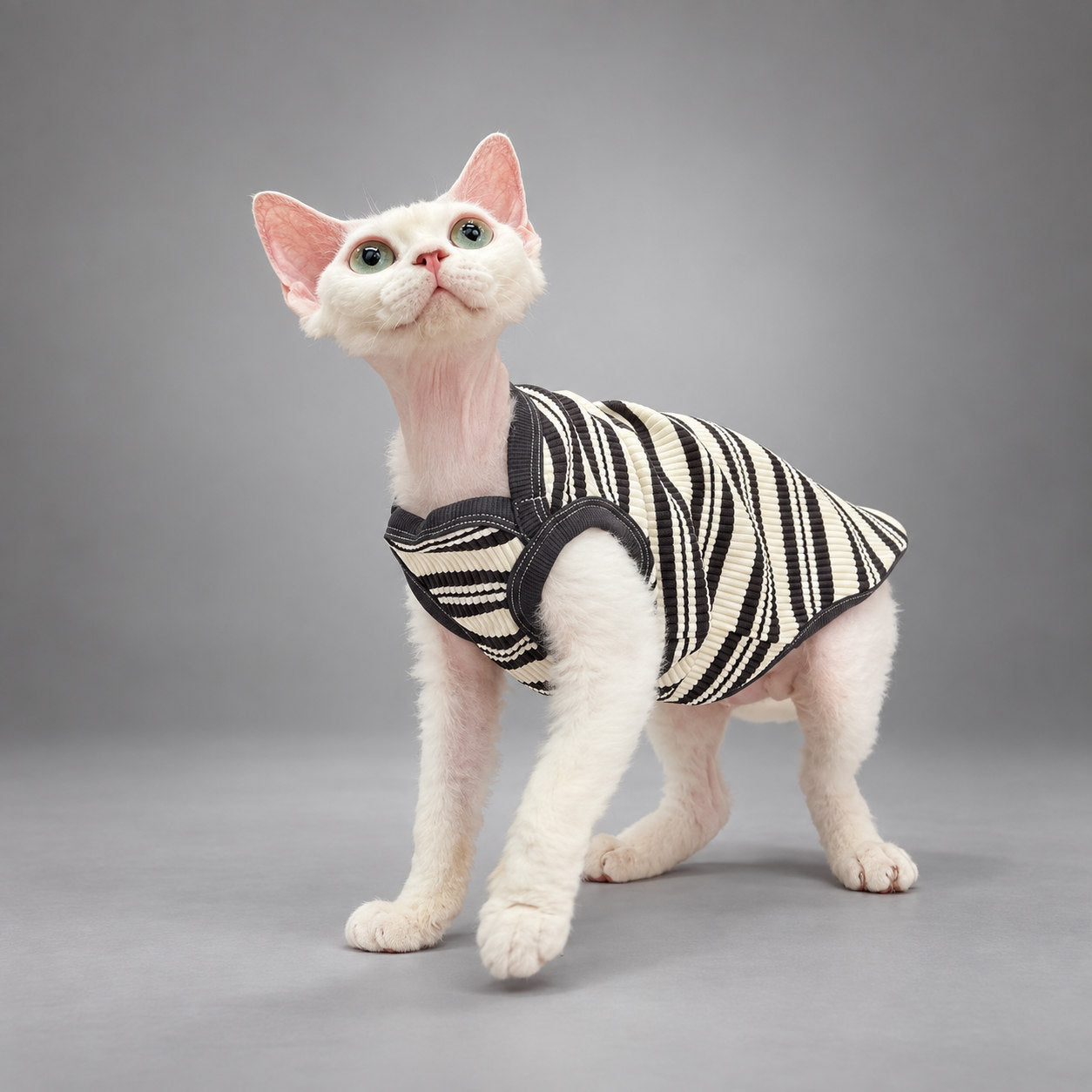 Cat wearing the Black & Ivory Stripe Monochrome Ease vest, standing in side view.