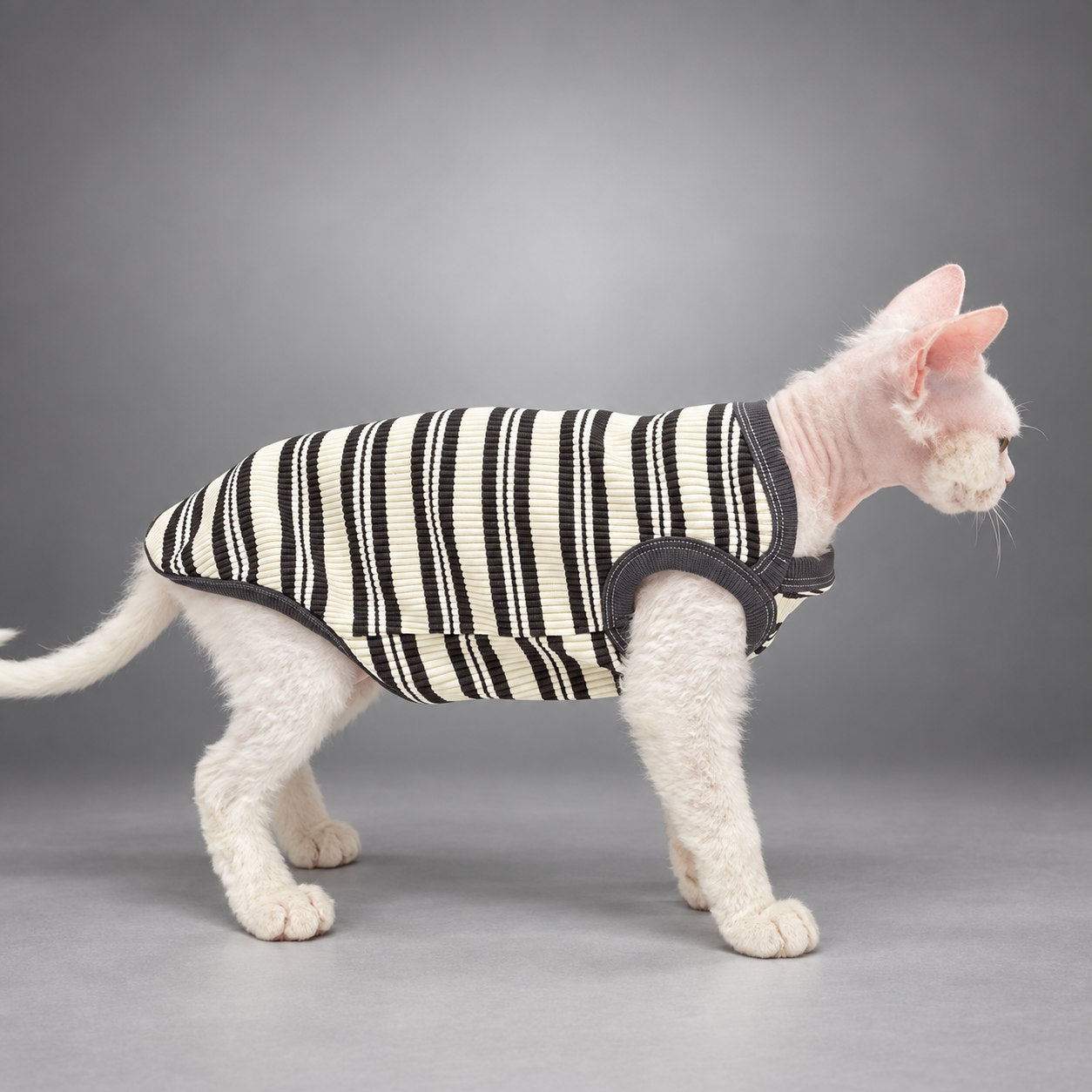 Cat wearing the Black & Ivory Stripe Monochrome Ease vest, walking in side view.