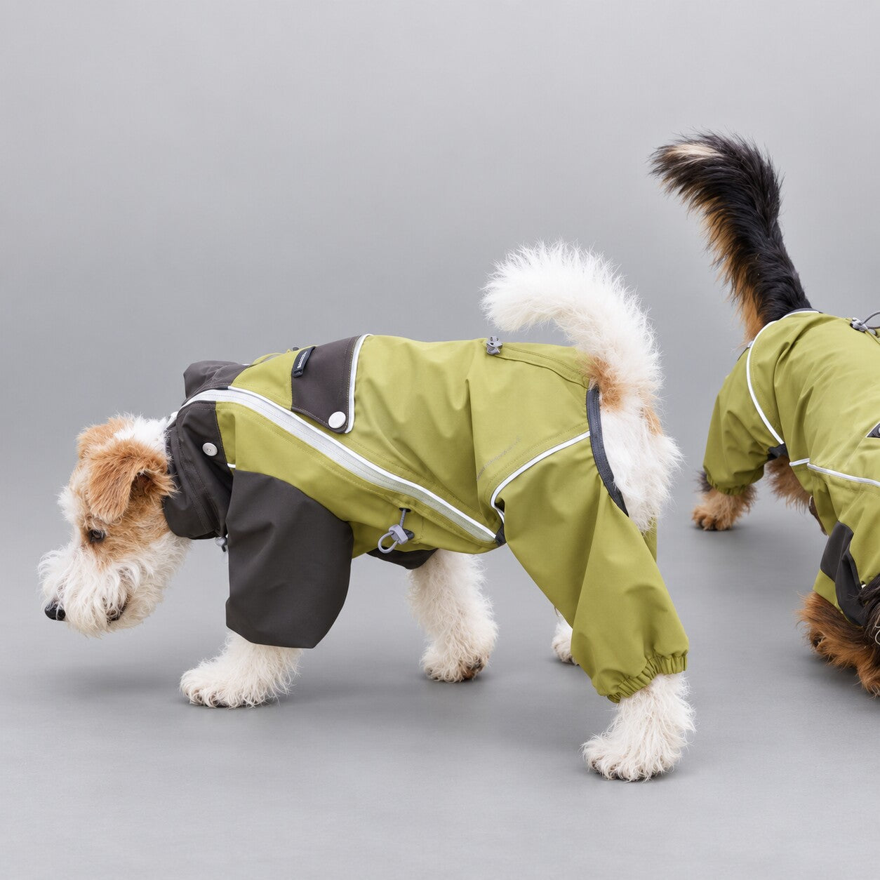 Monsoon Veil Technical Dog Rain Suit