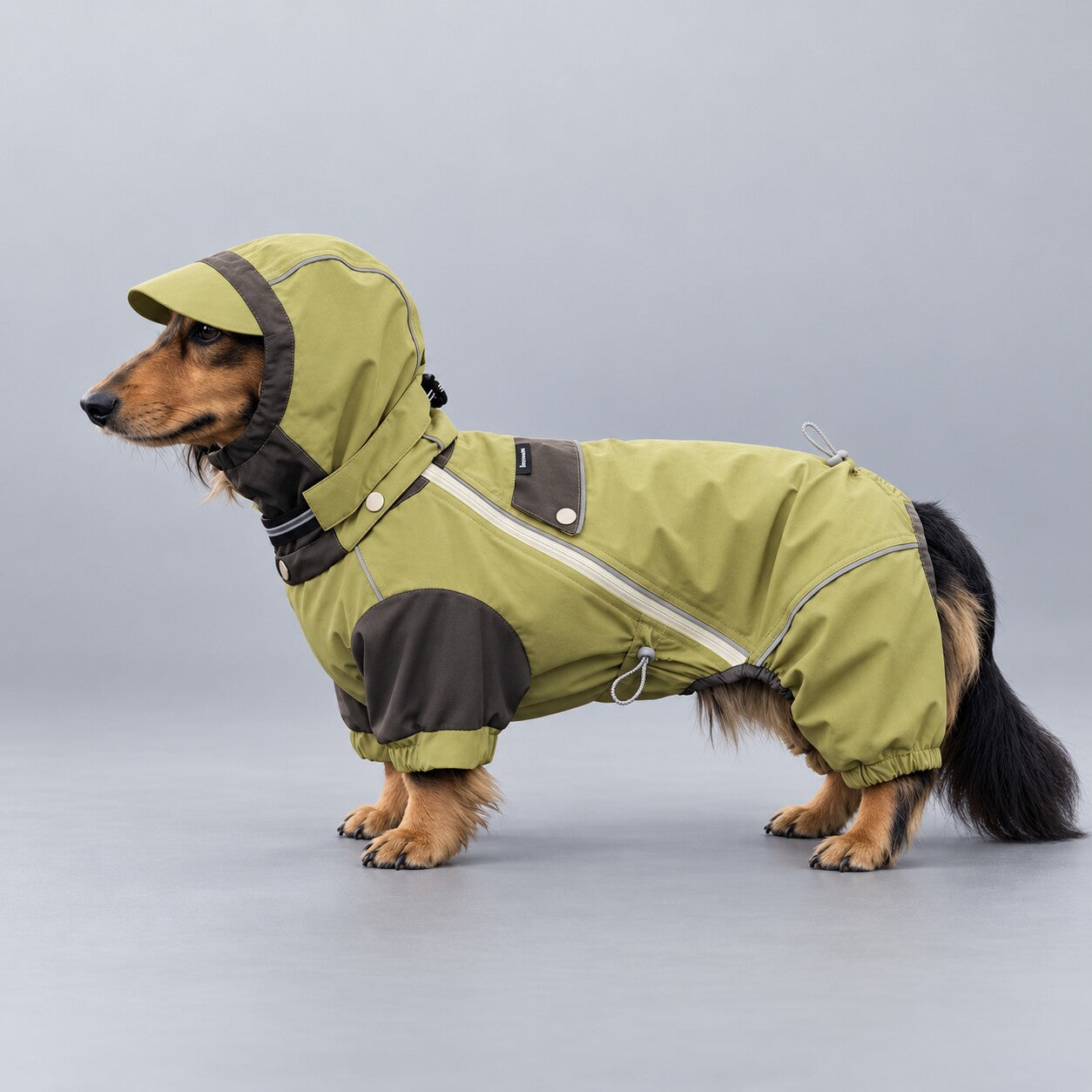 Monsoon Veil Technical Dog Rain Suit