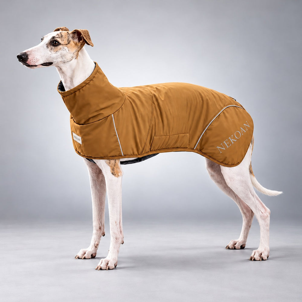 Dog wearing the Caramel outdoor shell jacket, standing in side view.