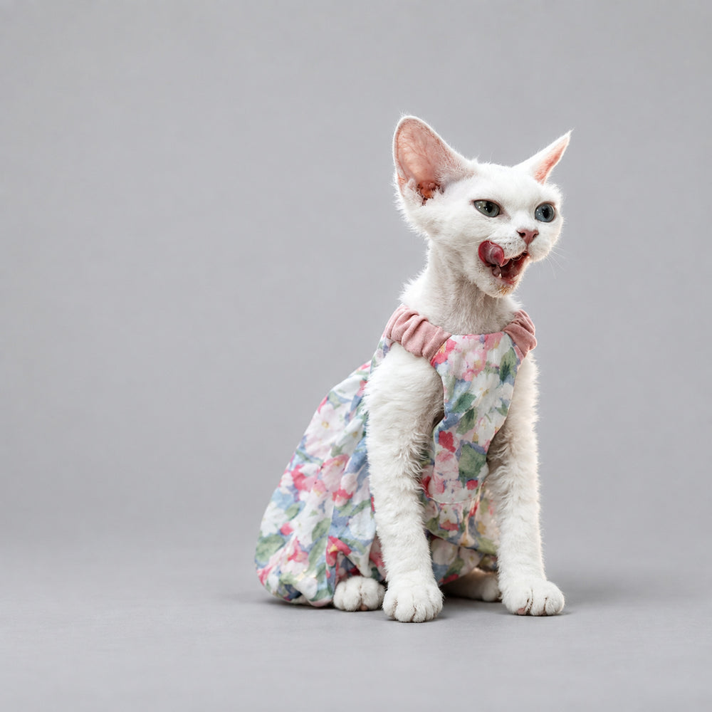 Cat wearing the Pastel Floral dress, seated with its mouth open.