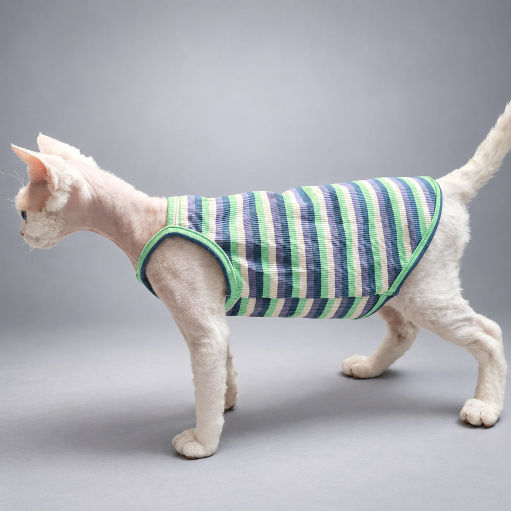 Cat wearing the Pastel Stripe tank, walking in side view.