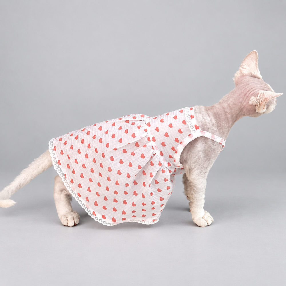 Cat wearing the Pink Heart dress, standing in side view.
