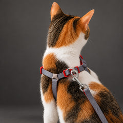 Ausbruchsicheres Katzengeschirr- und Leinen-Set – Weiches, atmungsaktives, verstellbares Anti-Zieh-Geschirr für Kätzchen