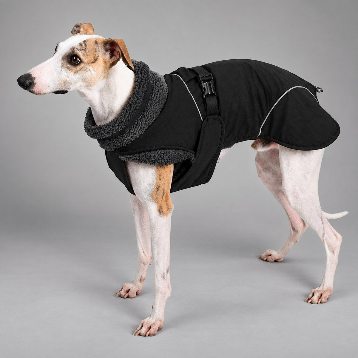 Dog wearing the Deep Navy sherpa-collar shell coat, standing in side view.