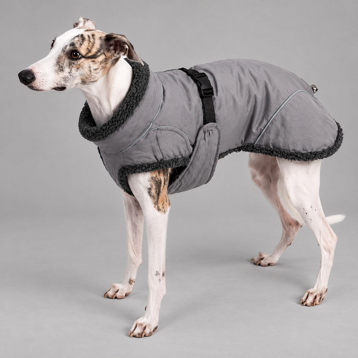 Dog wearing the Slate Grey sherpa-collar shell coat, standing in side view.