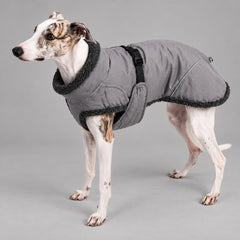 Dog wearing the Slate Grey sherpa-collar shell coat, standing in side view.
