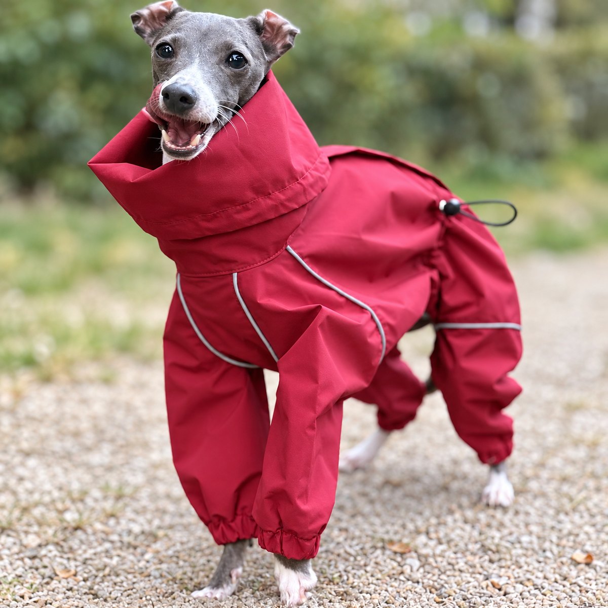 Front outdoor view of the burgundy four-leg rain suit with the hood lowered around the neck.