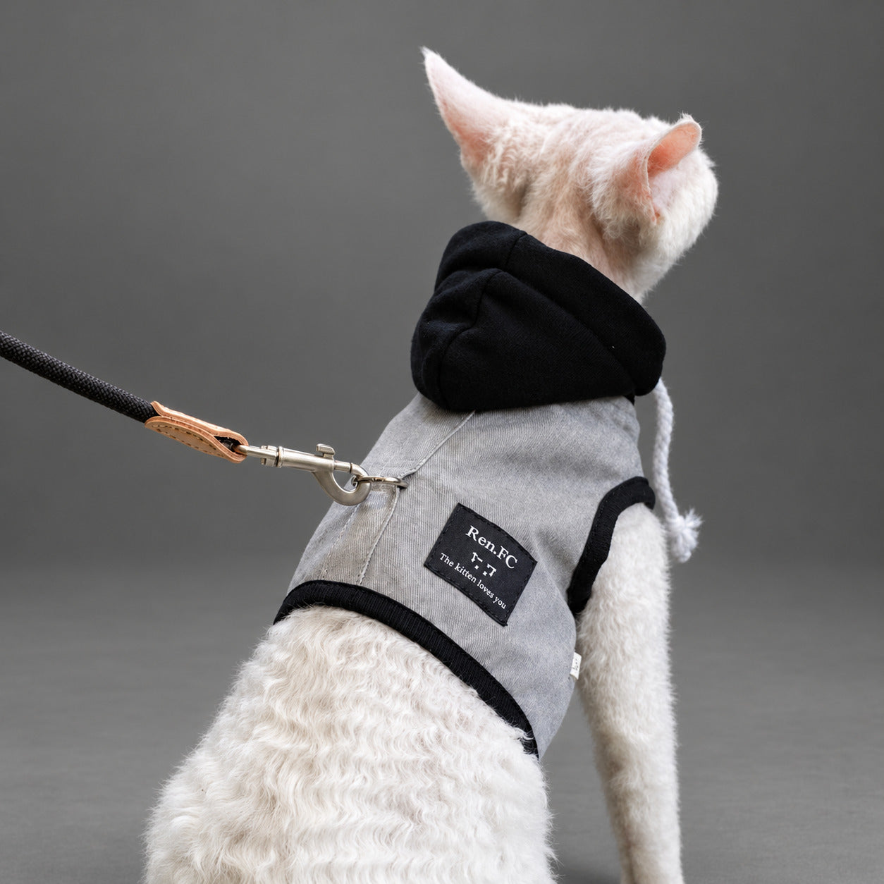 The Oslo Hooded Cat Harness Vest & Leash Set