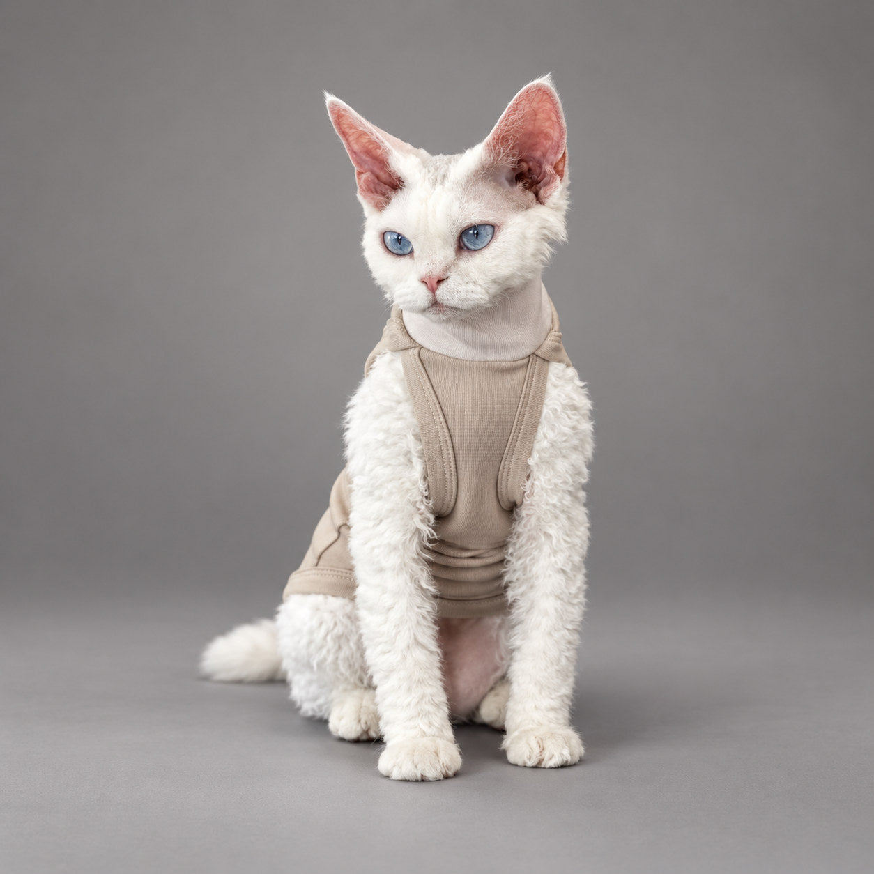 Cat wearing the Soft Taupe vest, seated facing the camera.