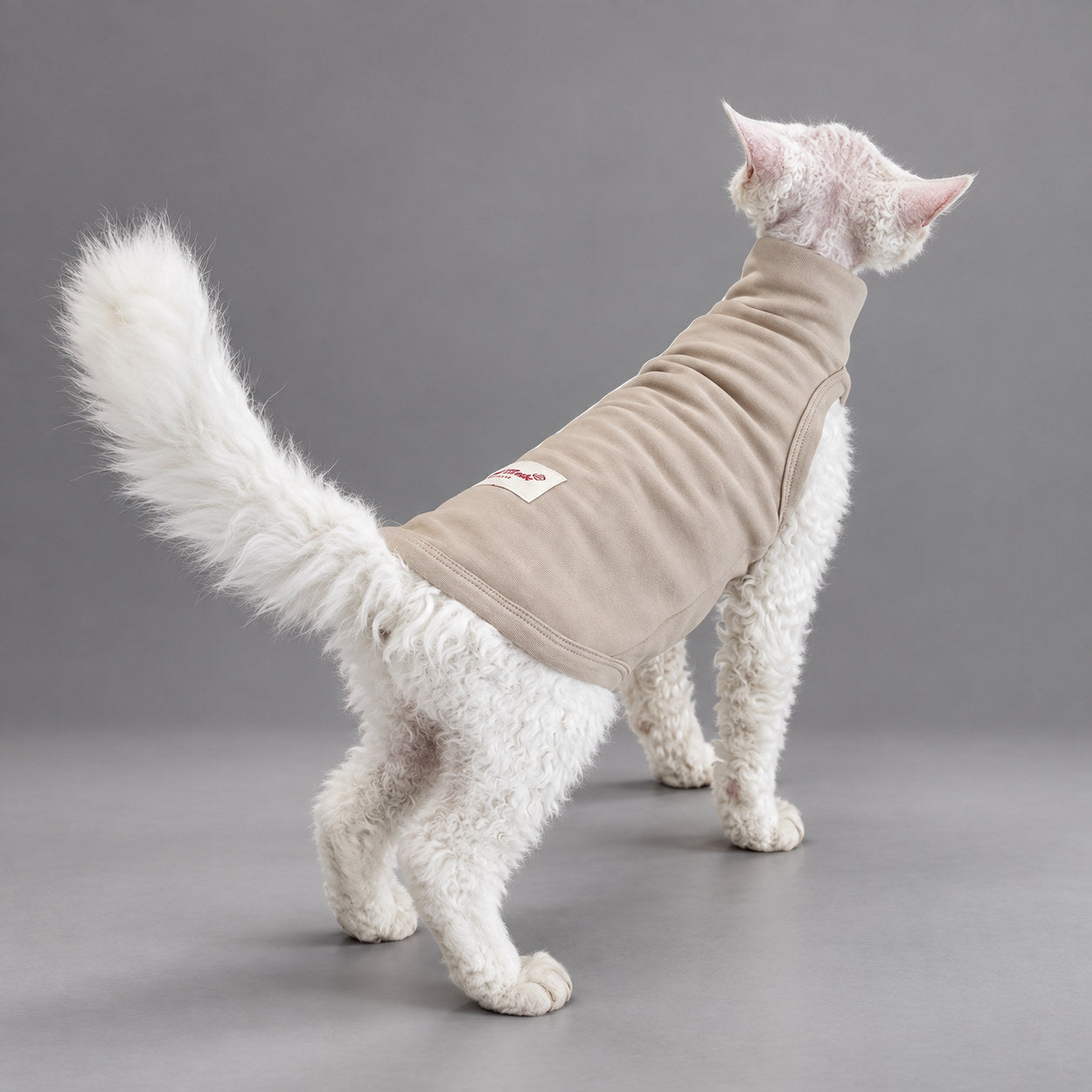 Cat wearing the Soft Taupe vest, standing in rear view.