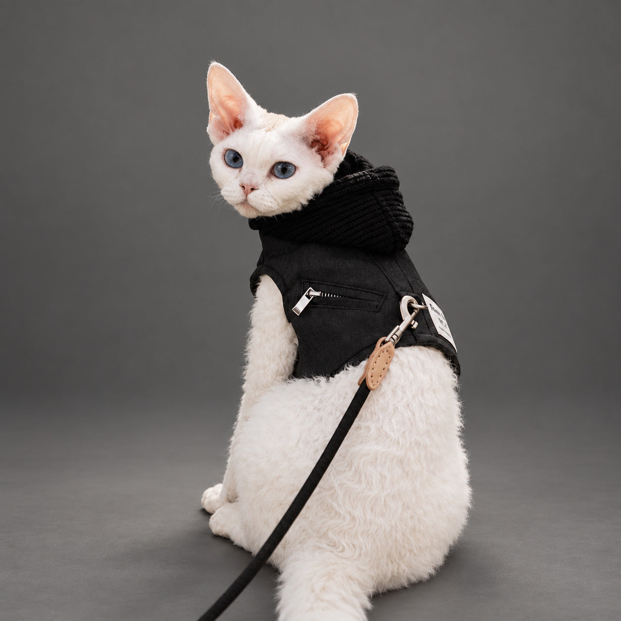 Sphynx-Katzengeschirr und Leinen-Set, hautfreundliches Denim-Westengeschirr für haarlose Katzen, leicht anzuziehendes Hoodie-Katzengeschirr mit integrierter Leine