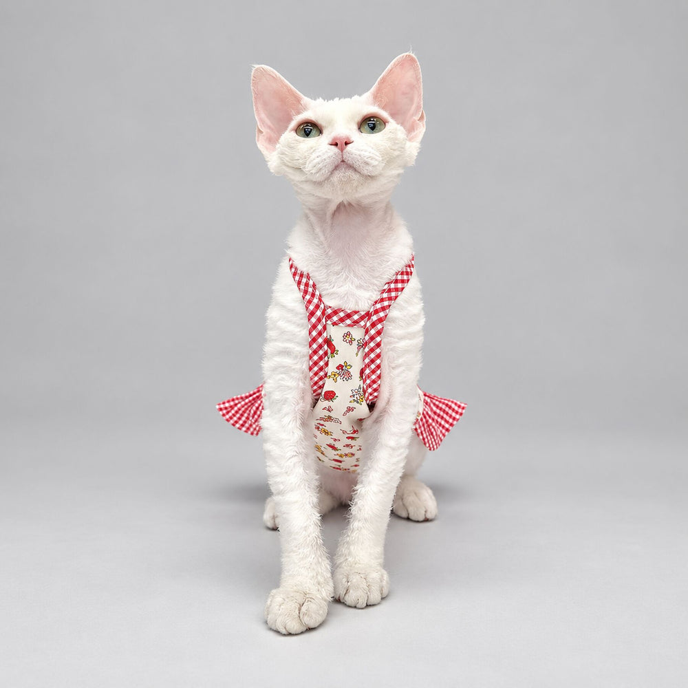 Cat wearing the pink Strawberry Floral dress, seated facing the camera.