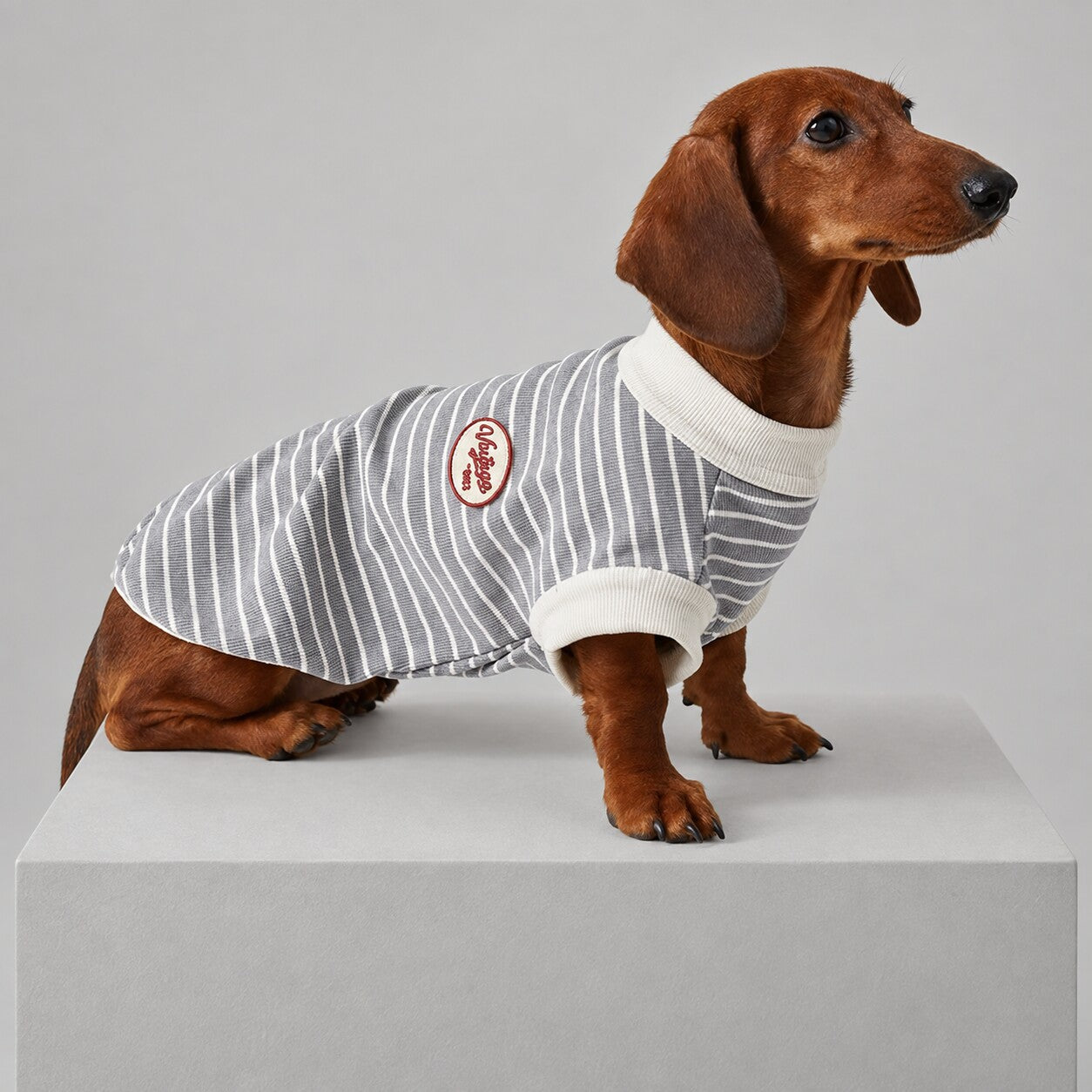 Dog wearing the Gray striped shirt, seated in side view.