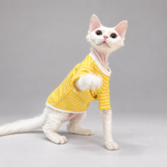 Cat wearing the Sunstripe T-shirt with a front paw lifted, showing the side fit.