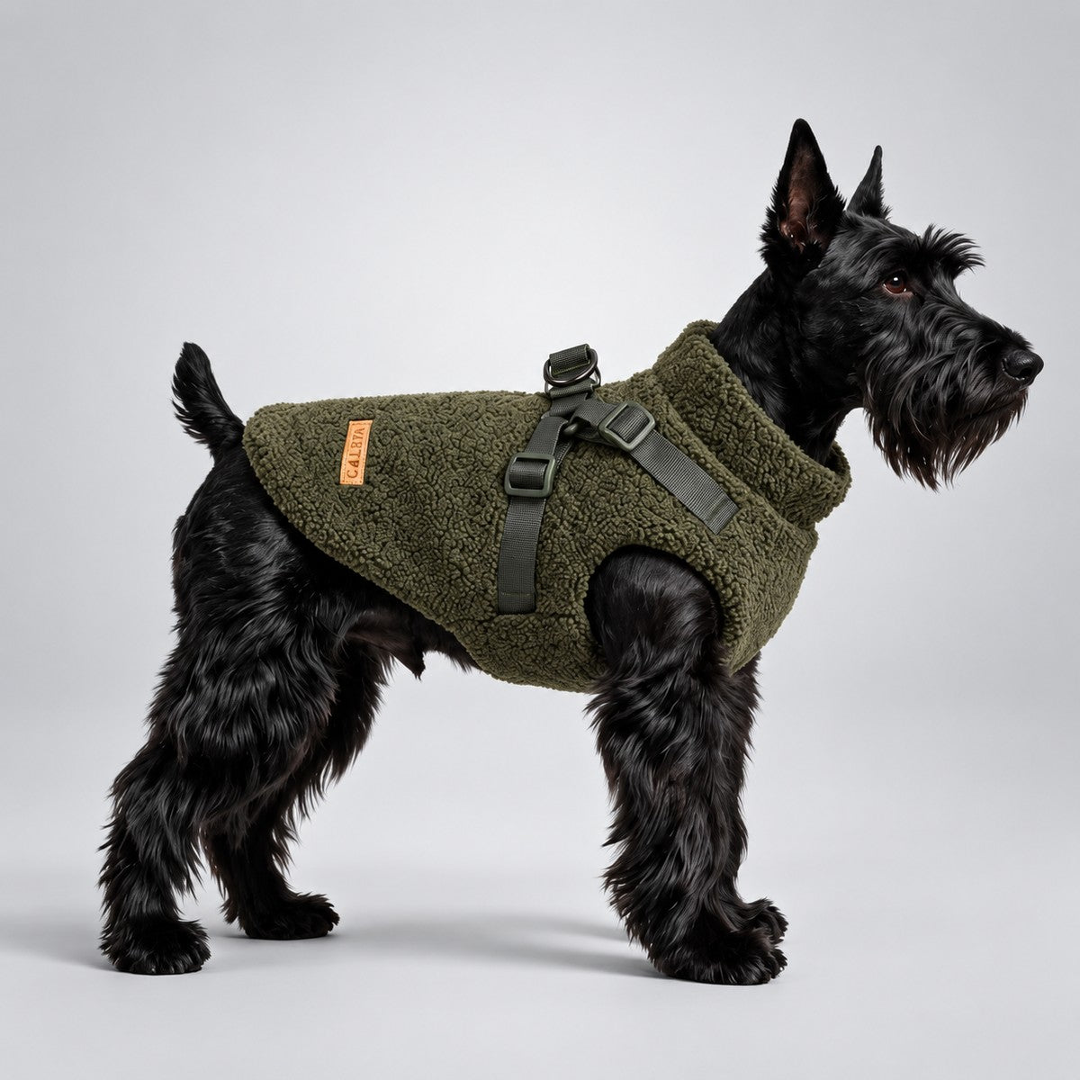 Black dog wearing the Deep Green teddy fleece vest with a leash attached to the harness.