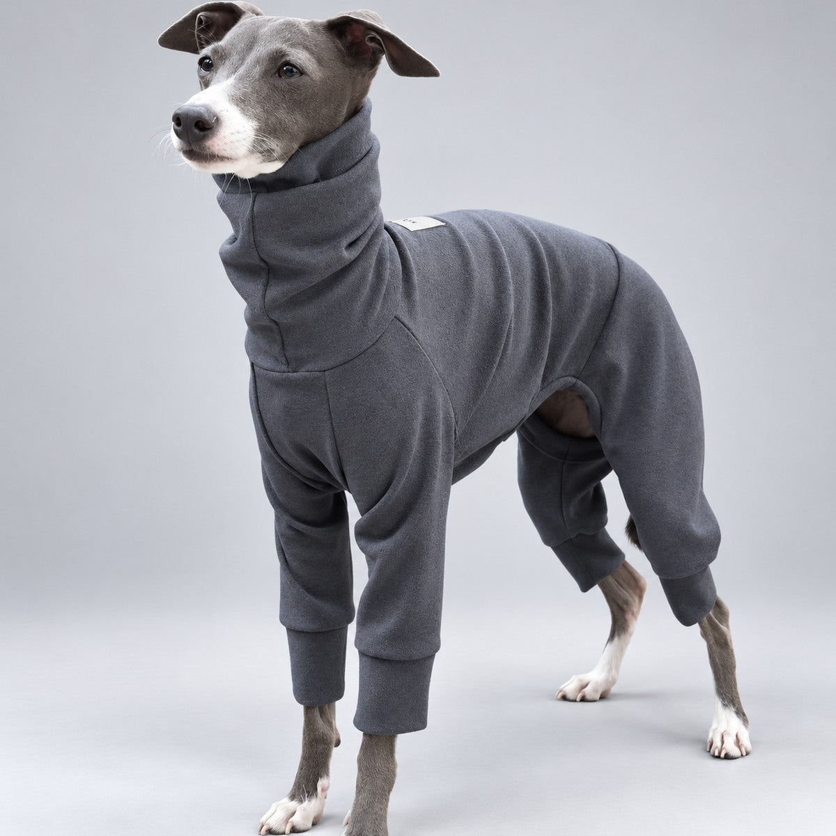 Front view of an Italian Greyhound in a charcoal grey thermal onesie with a high neck and long leg cuffs.