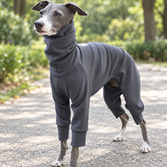 Italian Greyhound outdoors wearing the charcoal grey thermal sighthound onesie.