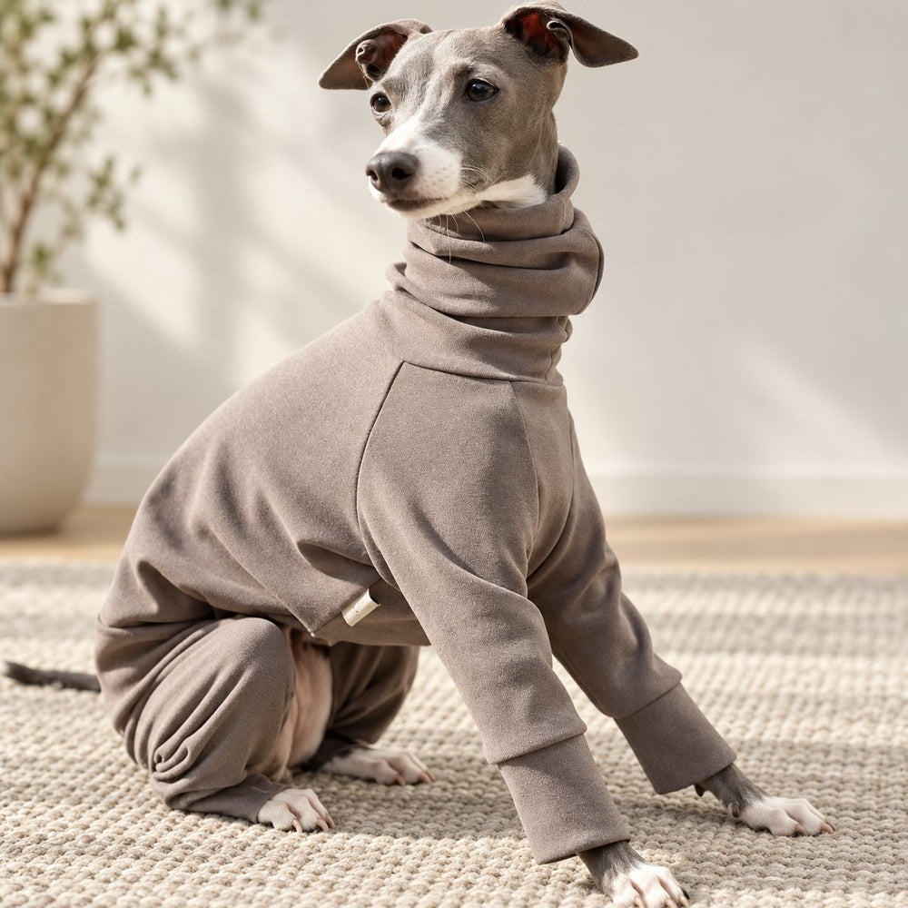 Italian Greyhound seated indoors wearing the taupe stretchy thermal onesie.