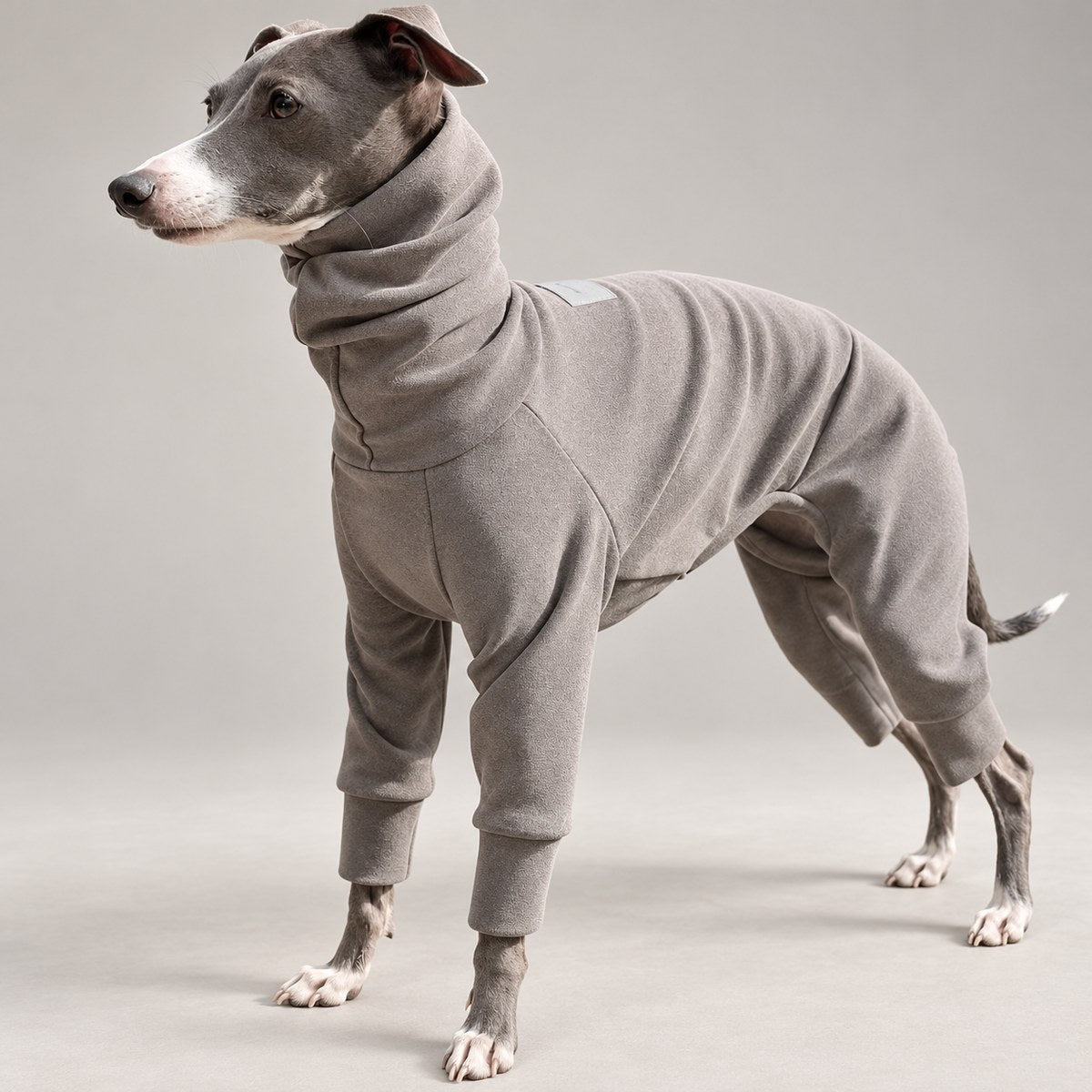 Italian Greyhound standing in a taupe thermal sighthound onesie, showing its high neck and four-leg coverage.