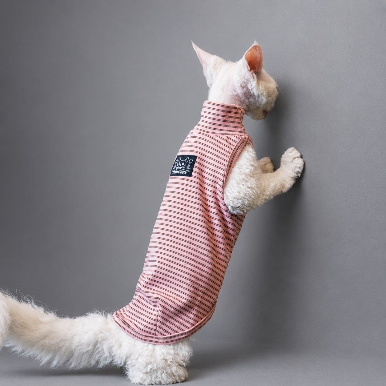 Cat standing on its hind legs in the Blush Pink Thermal Stripe vest.