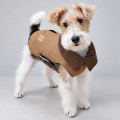 Terrier wearing the Khaki barn-style coat, viewed from the front at an angle.
