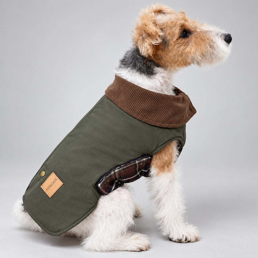 Dog wearing the Olive Green vintage barn-style coat, seated in side view.