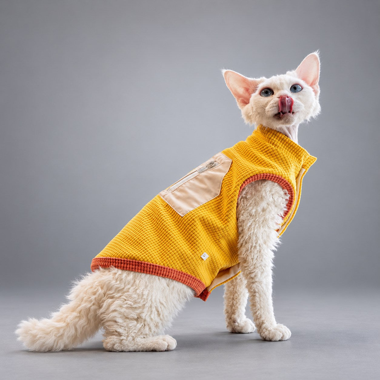 Cat wearing the Golden Yellow waffle fleece vest, seated at an angle to the camera.