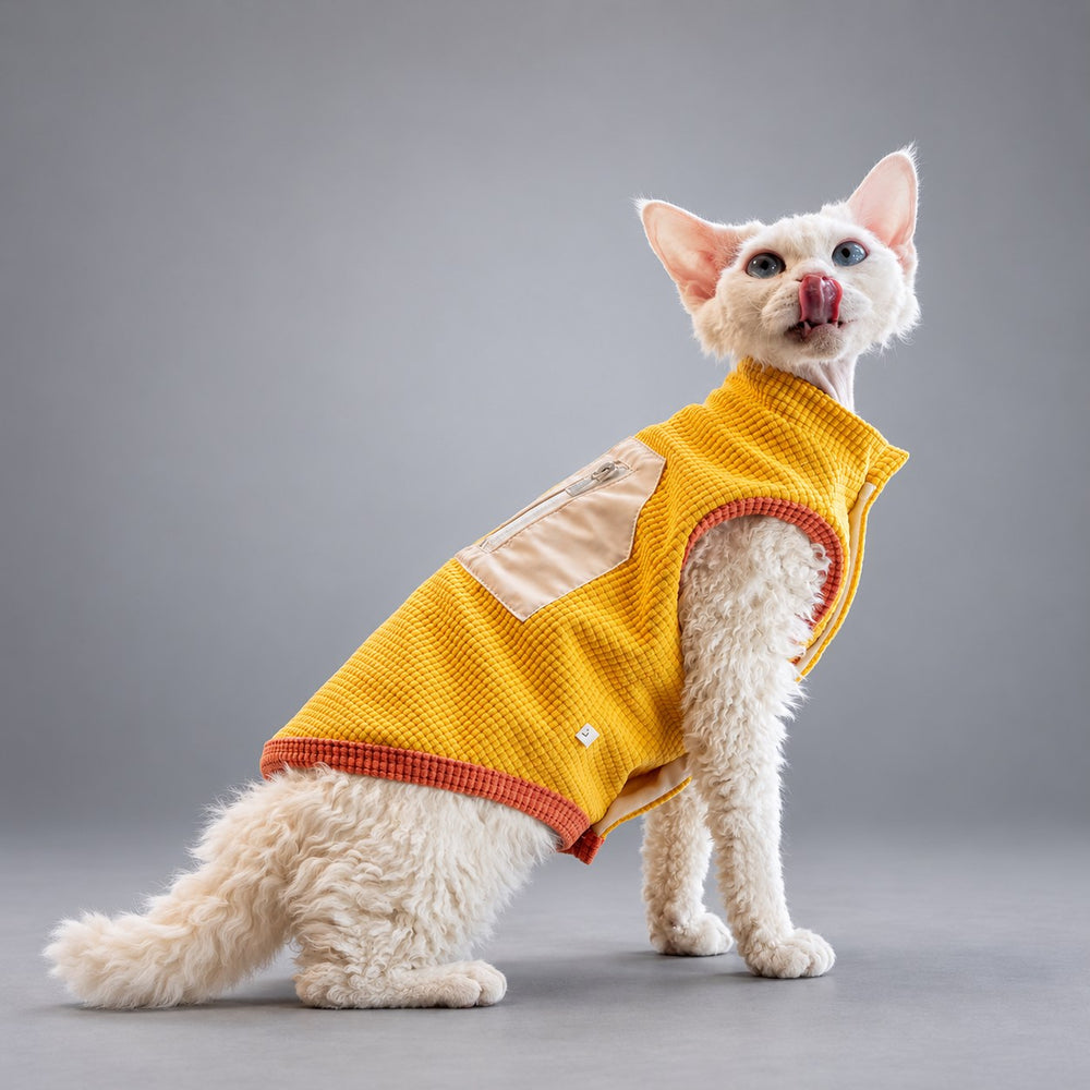 Cat wearing the Golden Yellow waffle fleece vest, seated at an angle to the camera.