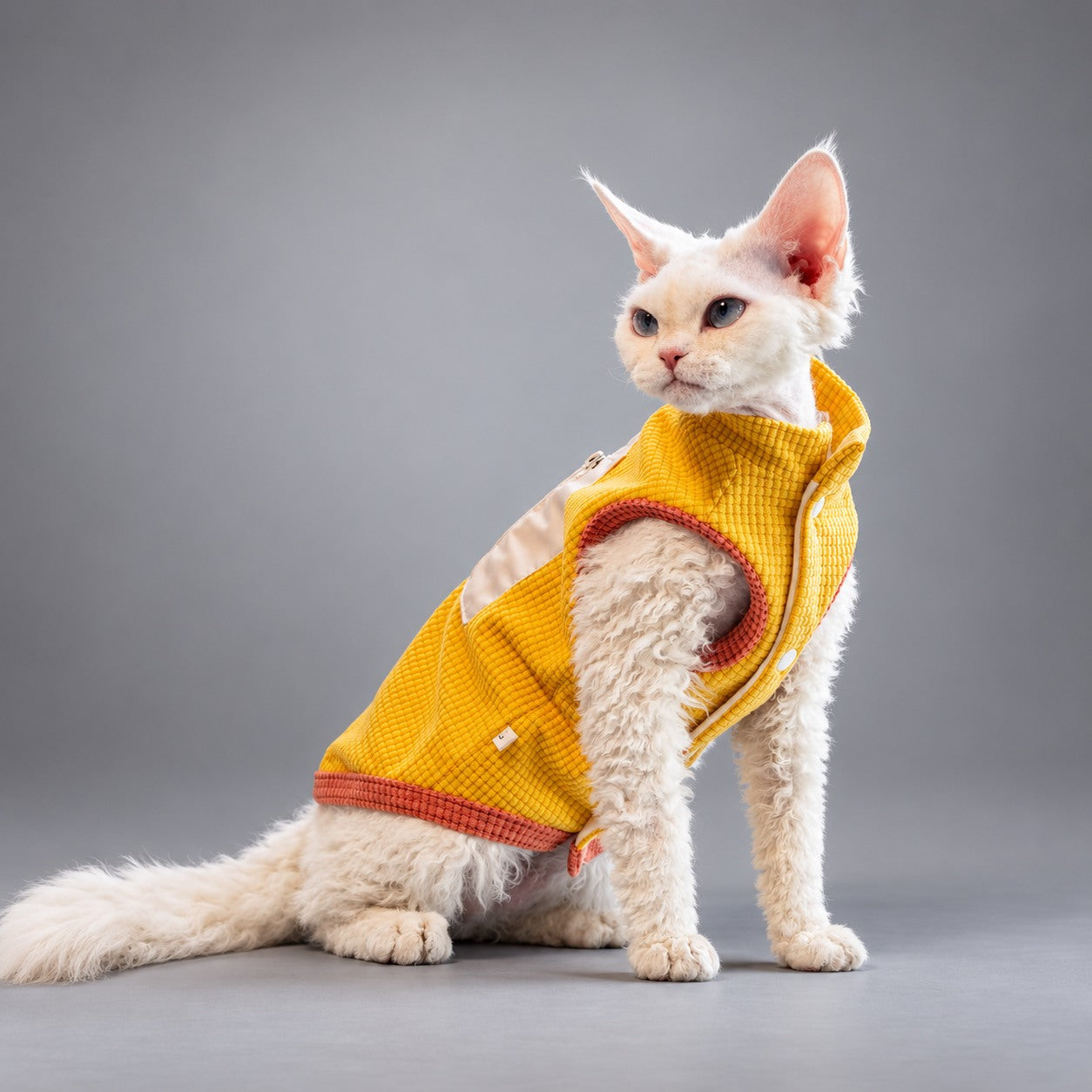 Cat seated in the Golden Yellow waffle fleece vest, viewed from the side.