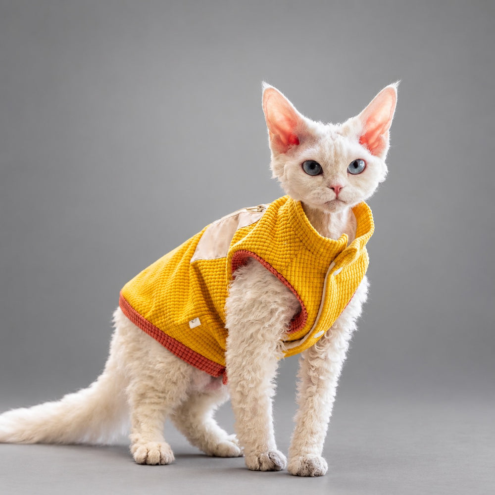 Cat wearing the Golden Yellow waffle fleece vest, seated in side view.
