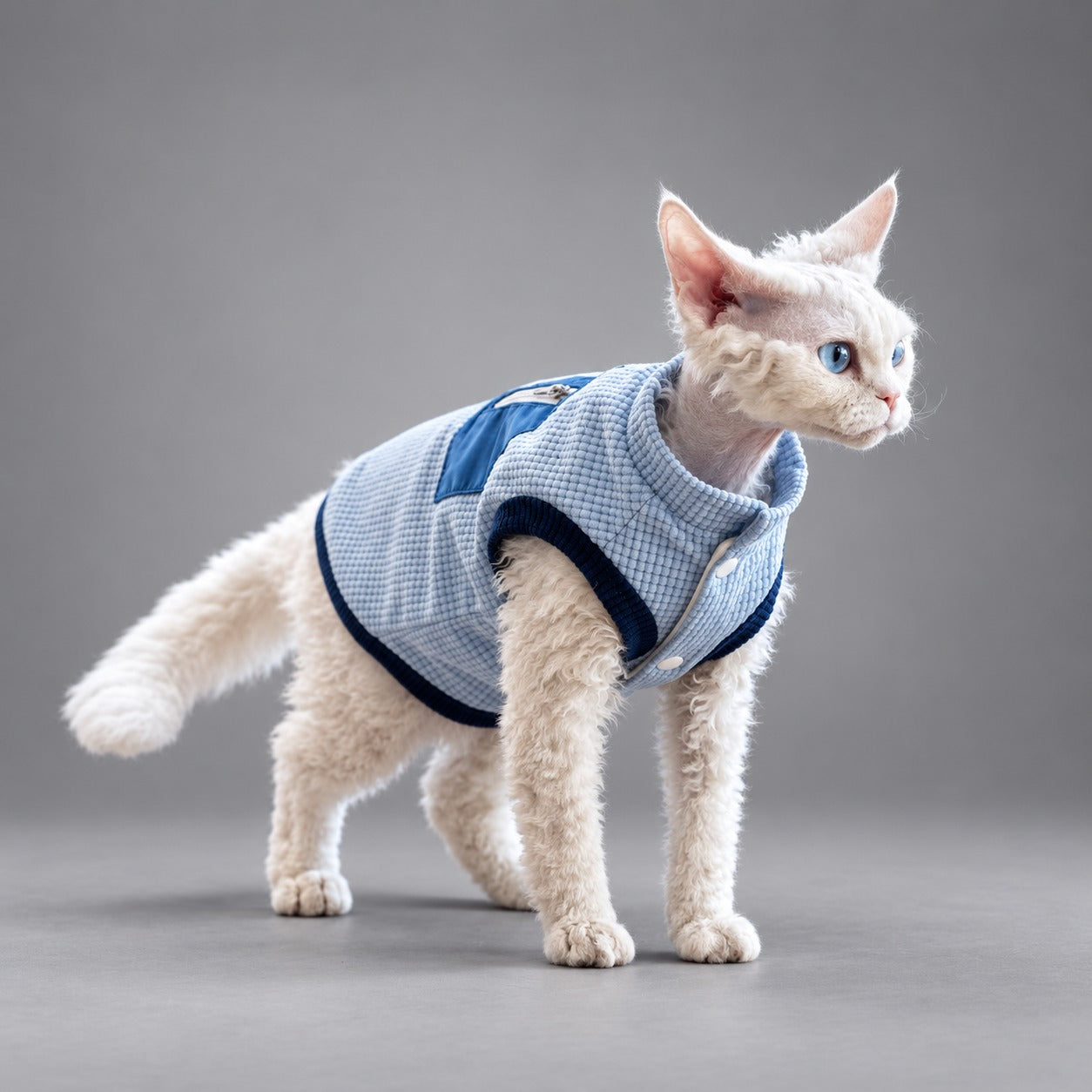 Cat wearing the Nordic Blue waffle fleece vest, walking in side view.