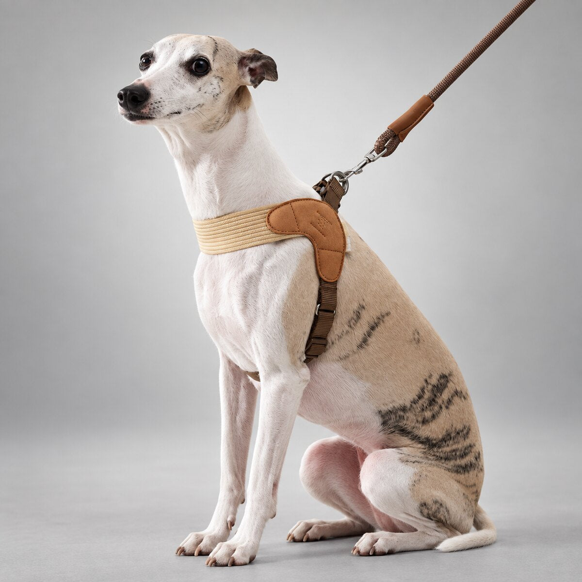 Sighthound Comfort Harness & Leash Set