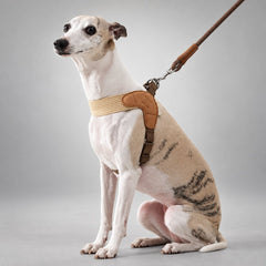 Sighthound Comfort Harness & Leash Set