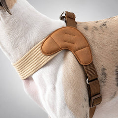 Sighthound Comfort Harness & Leash Set