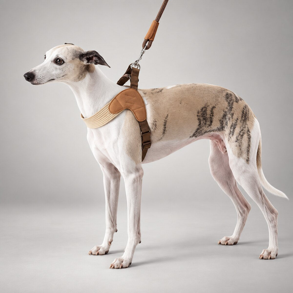 Sighthound Comfort Harness & Leash Set
