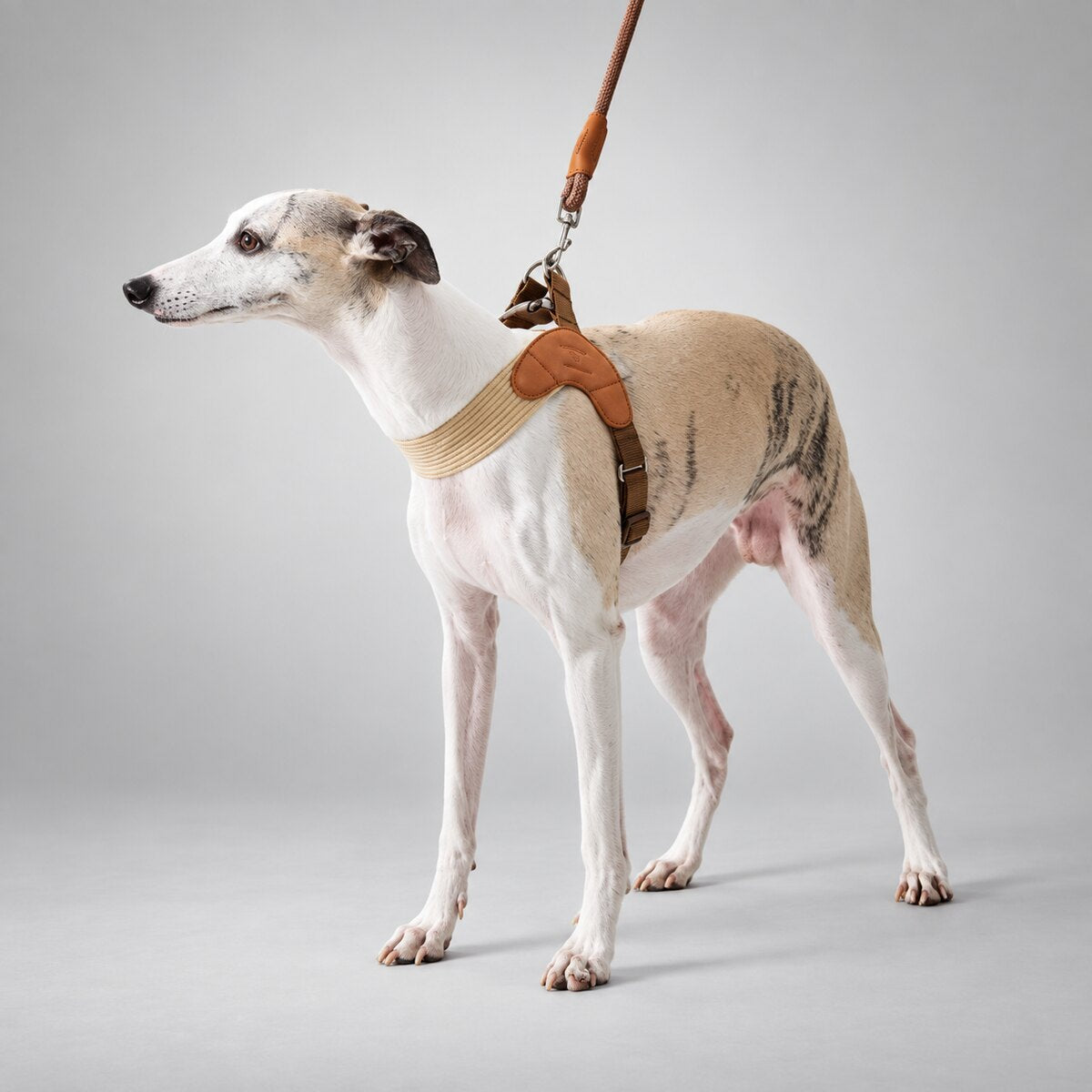Sighthound Comfort Harness & Leash Set