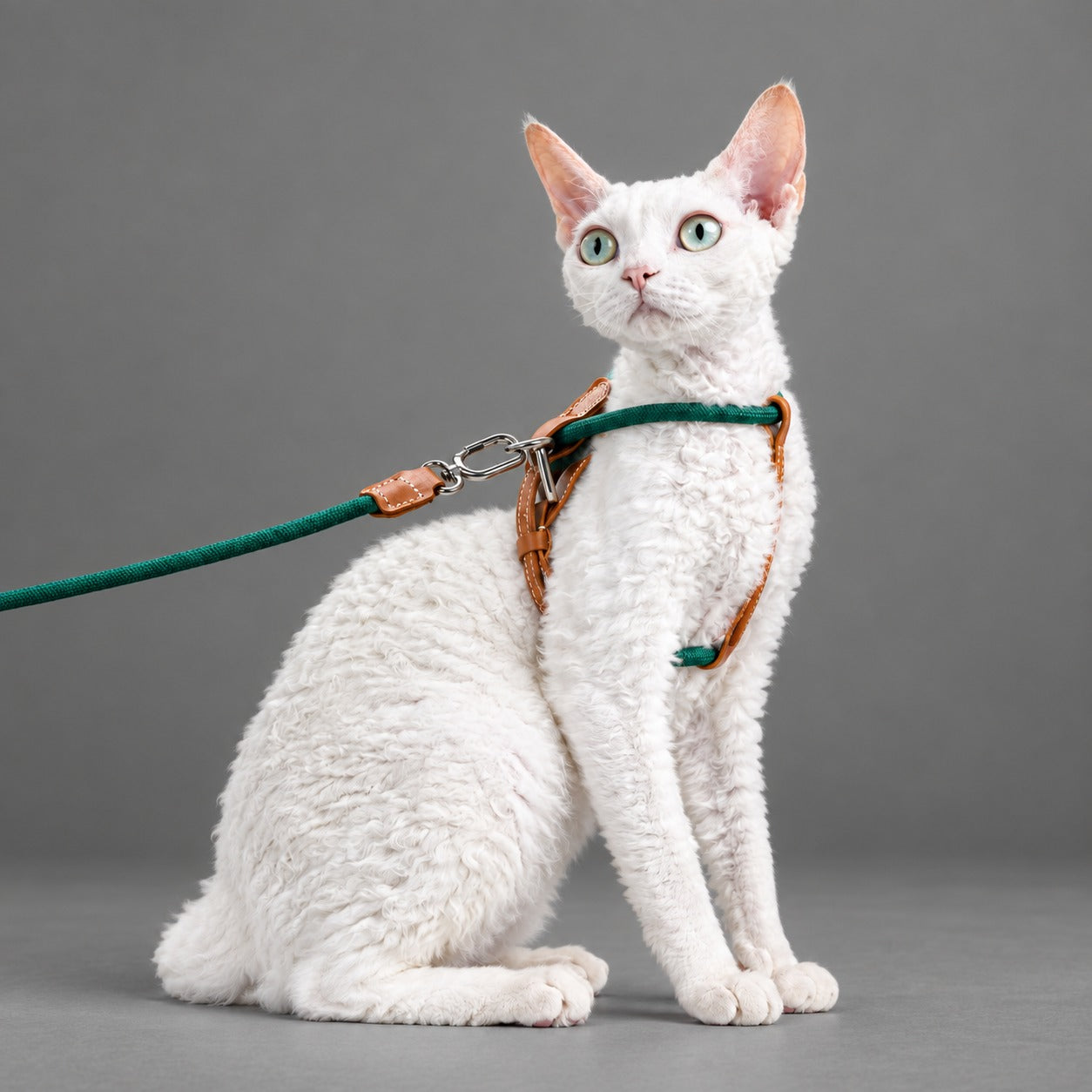 Atelier Rope Cat Harness & Leash Set