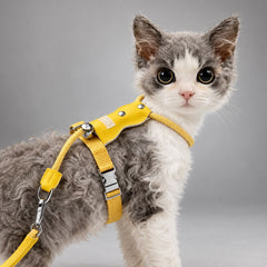 Lightweight H-Shape Cat Harness & Leash Set