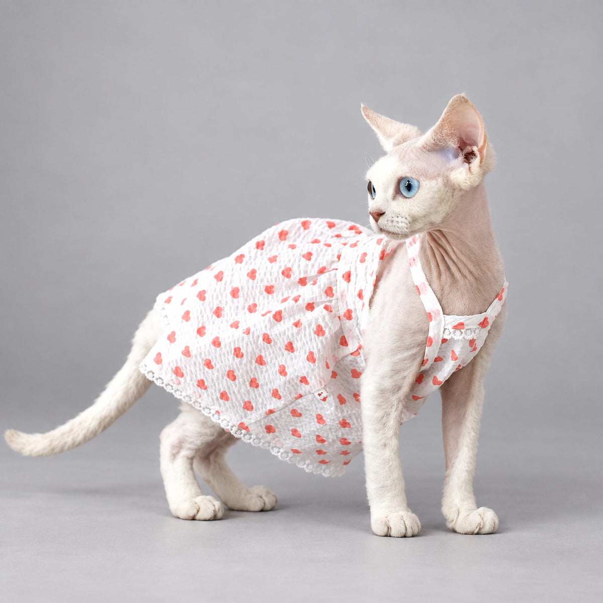 Handmade Pink Heart Cat Dress