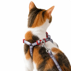 Ausbruchsicheres Katzengeschirr- und Leinen-Set – Weiches, atmungsaktives, verstellbares Anti-Zieh-Geschirr für Kätzchen