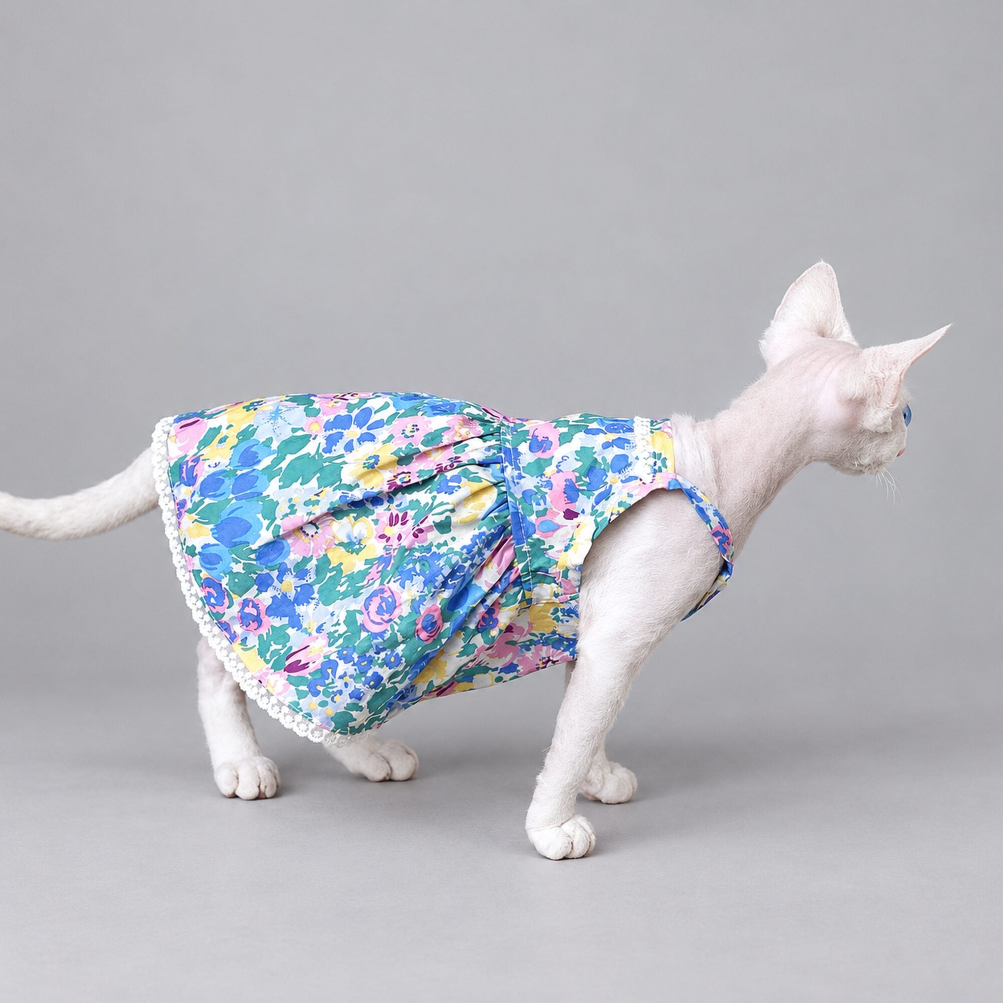 Watercolor Floral Cat Dress