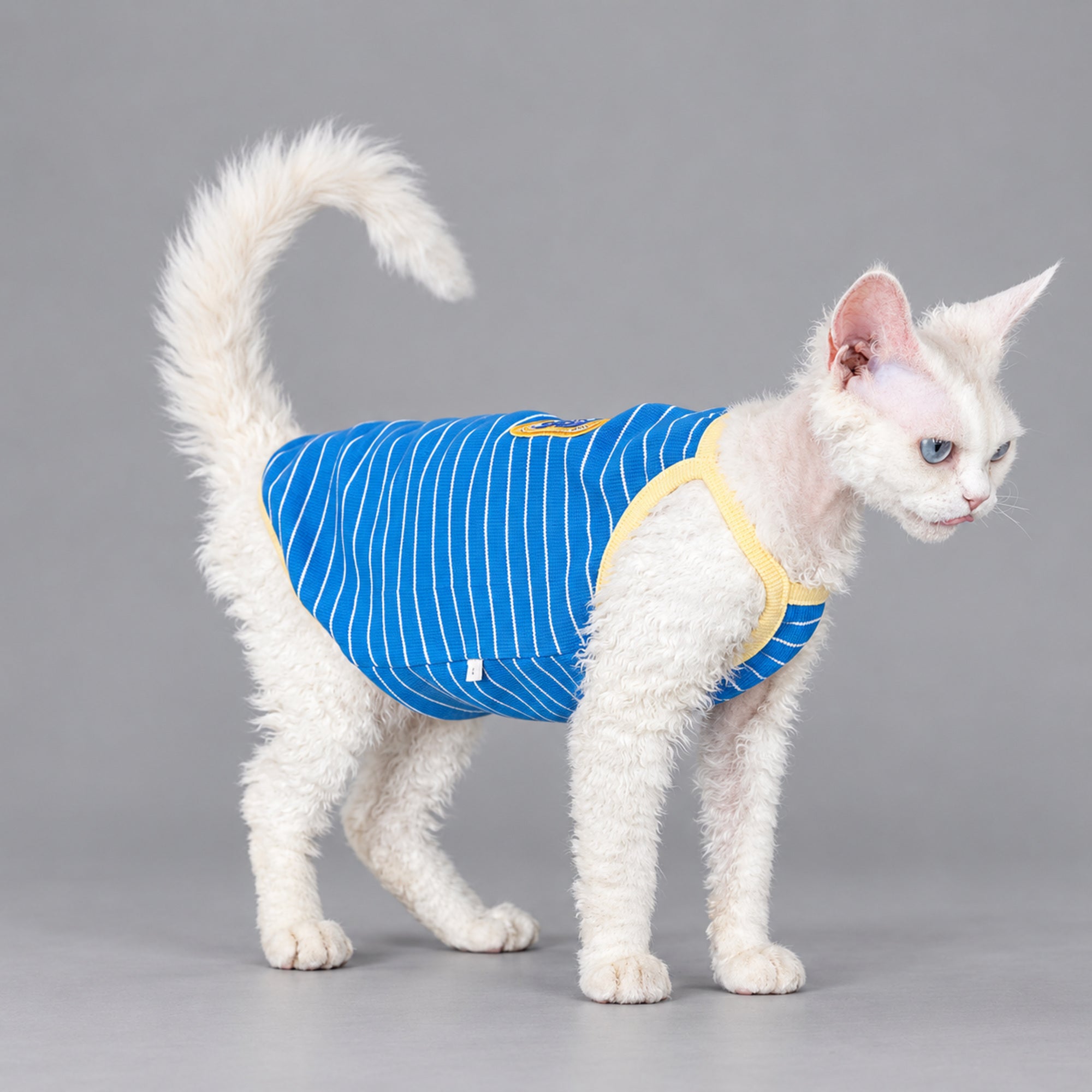 Blue Striped Cotton Cat Shirt