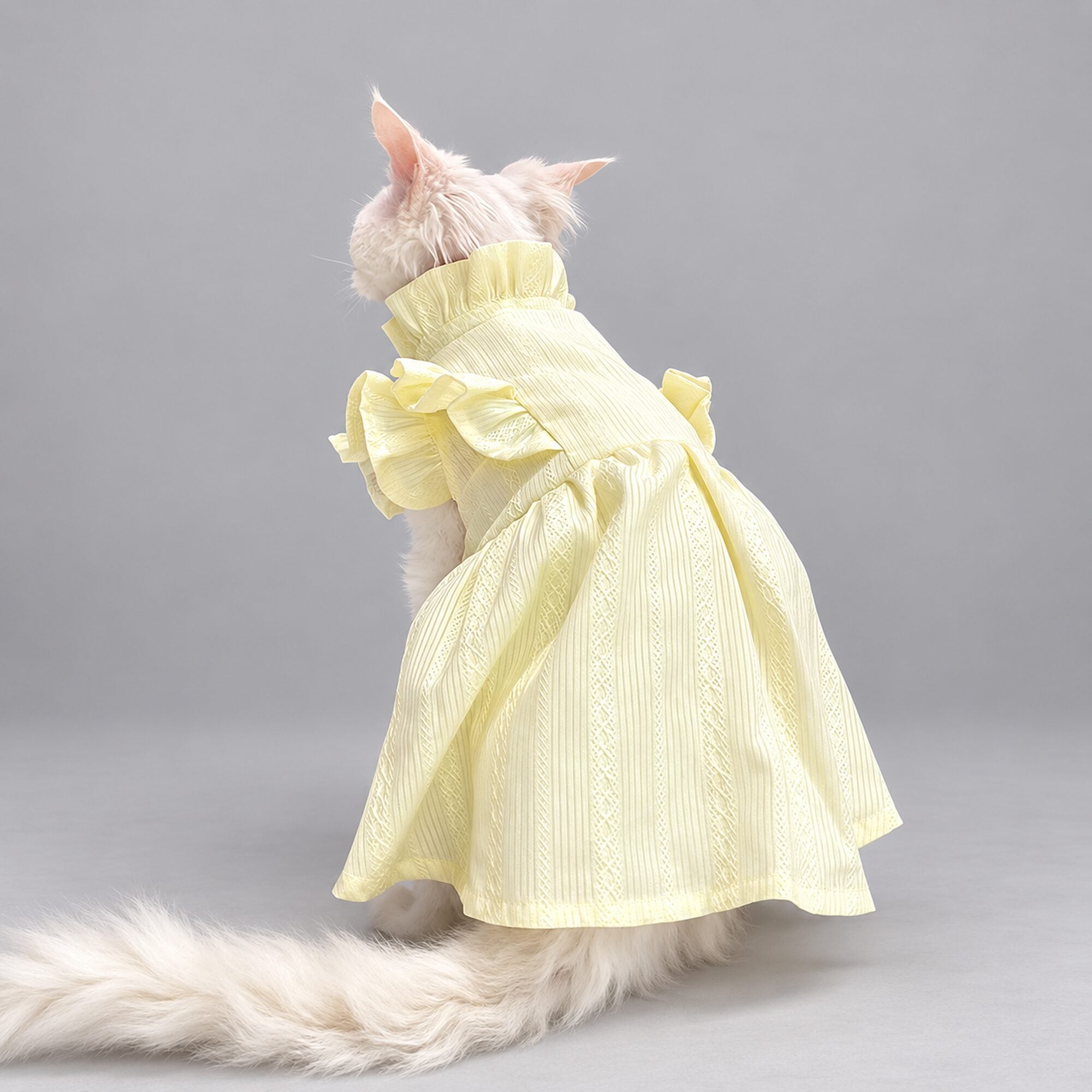 Cream Yellow Ruffle Cat Dress